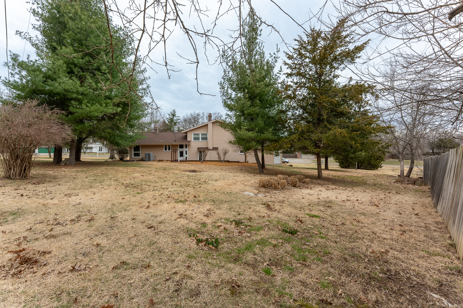 212 Kane Drive Herrin, IL 62948 - Photo 40 of 44 a view of street with trees