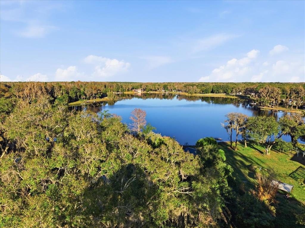 16921 Crawley Road Odessa, FL 33556 - Photo 4 of 53