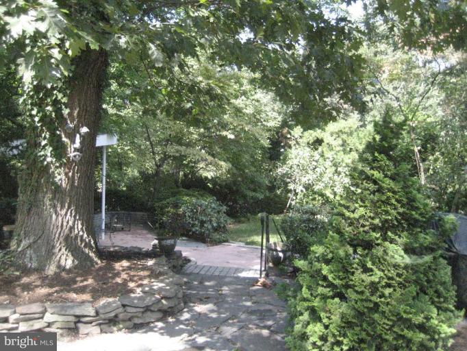 7100 Marlan Drive Alexandria, VA 22307 - Photo 17 of 27 Exterior #4