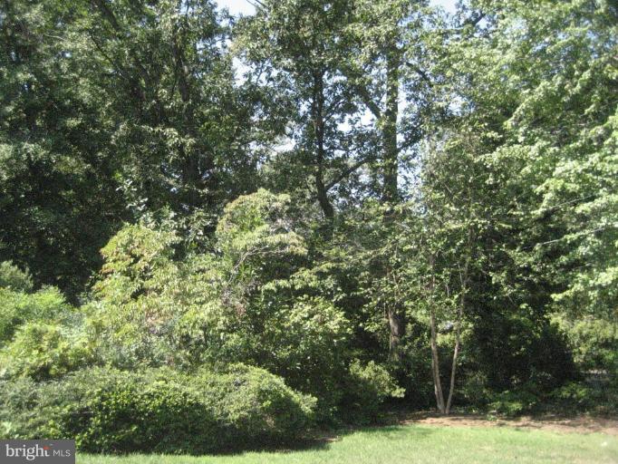 7100 Marlan Drive Alexandria, VA 22307 - Photo 26 of 27 Unique #2