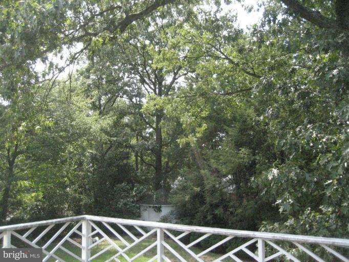 7100 Marlan Drive Alexandria, VA 22307 - Photo 27 of 27 Deck - View from