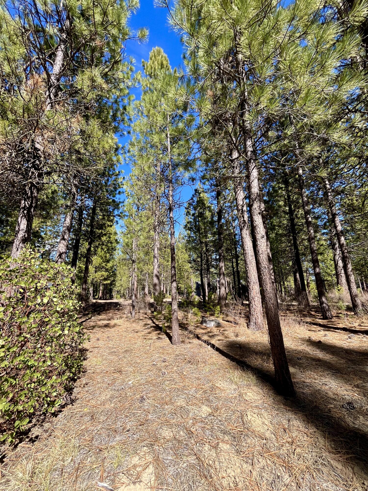 14171 Whitewater Loop La Pine, OR 97739 - Photo 4 of 16 14171-2