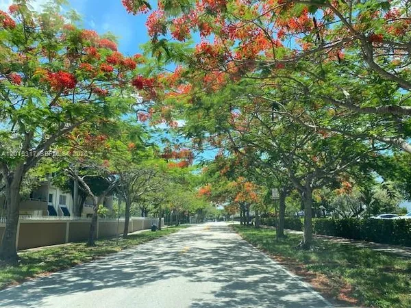a view of a yard with plants and trees