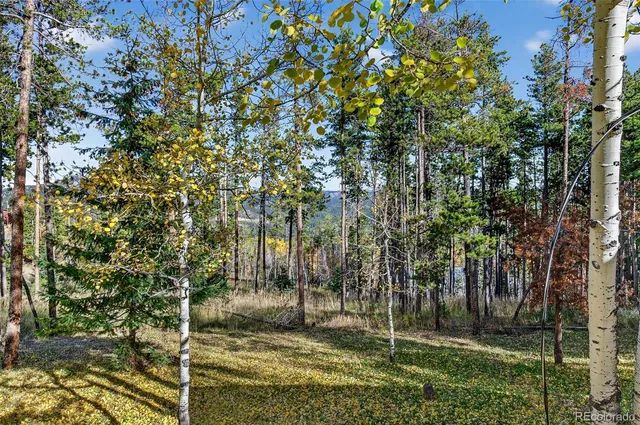 a backyard of a house with plants and large tree