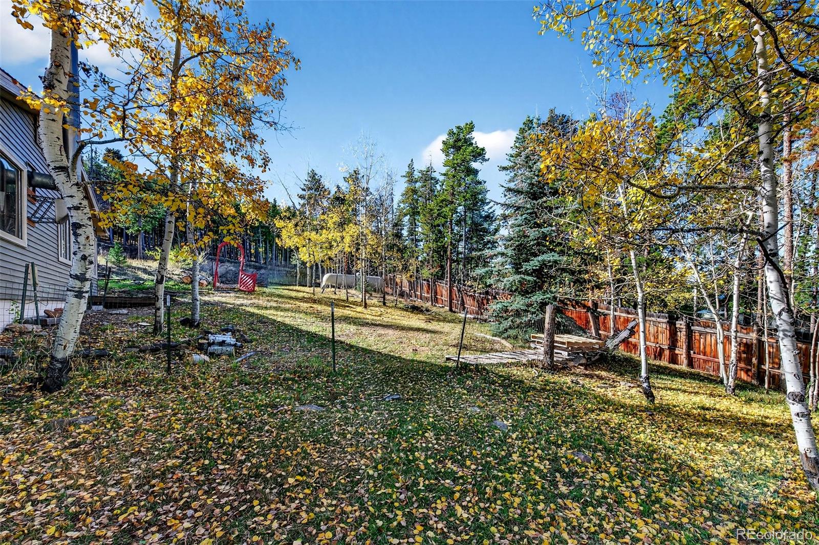 20341 Maxwell Drive Morrison, CO 80465 - Photo 32 of 47 a view of park with large trees