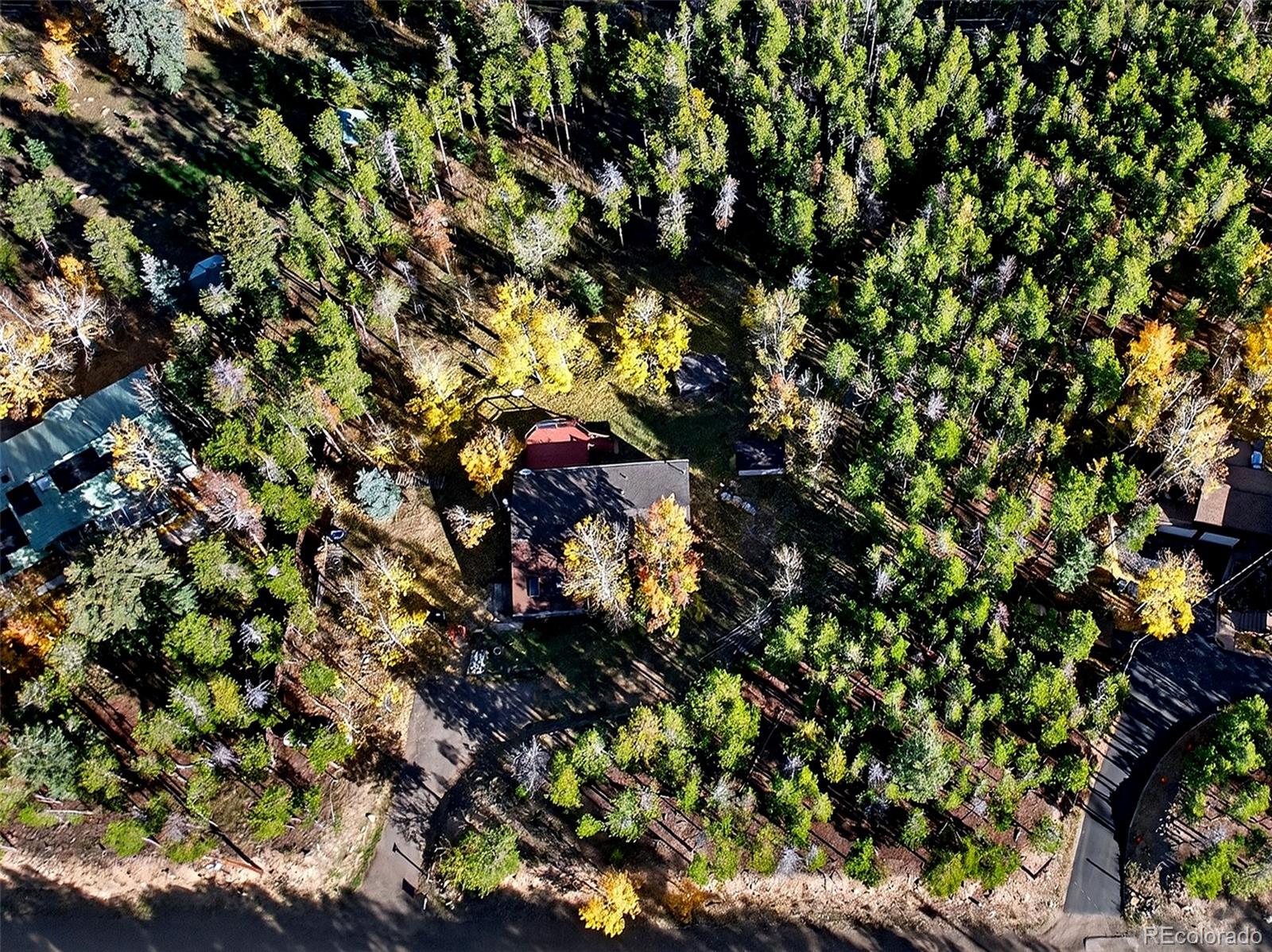 20341 Maxwell Drive Morrison, CO 80465 - Photo 41 of 47 a view of flowers