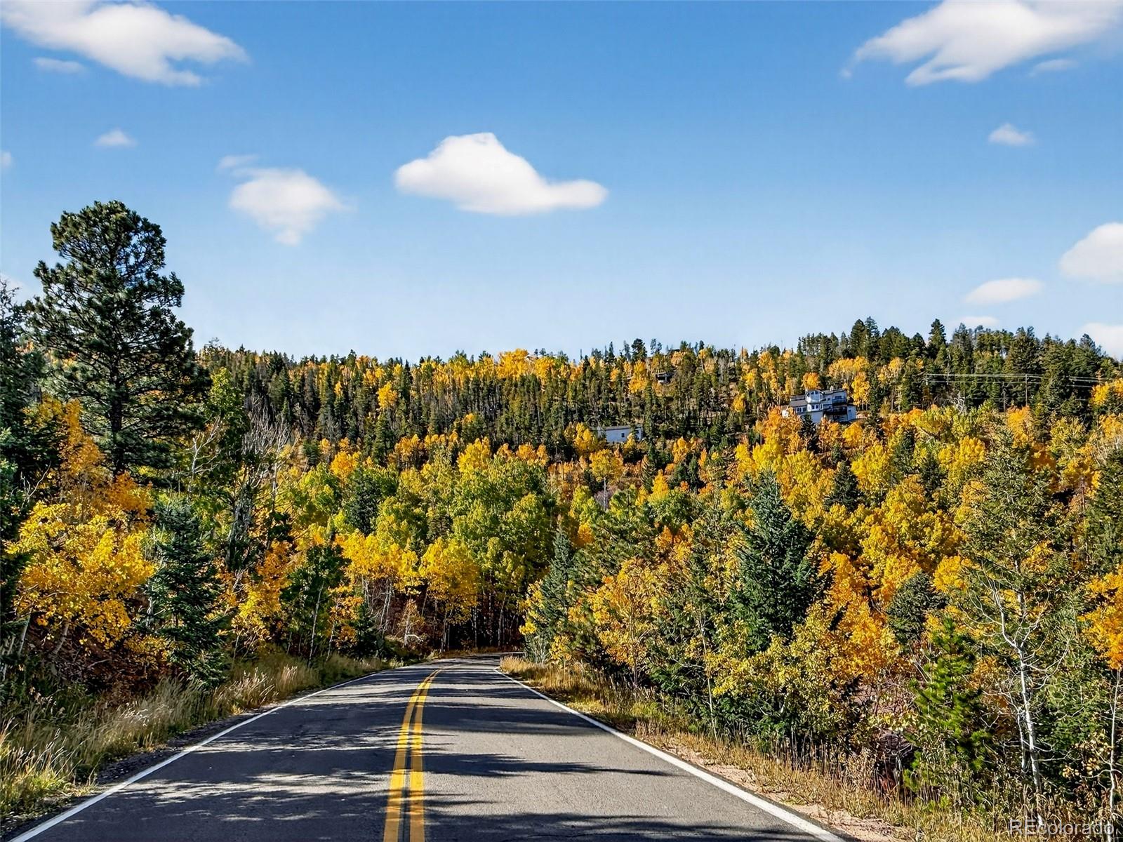 20341 Maxwell Drive Morrison, CO 80465 - Photo 44 of 47 a view of outdoor space and yard