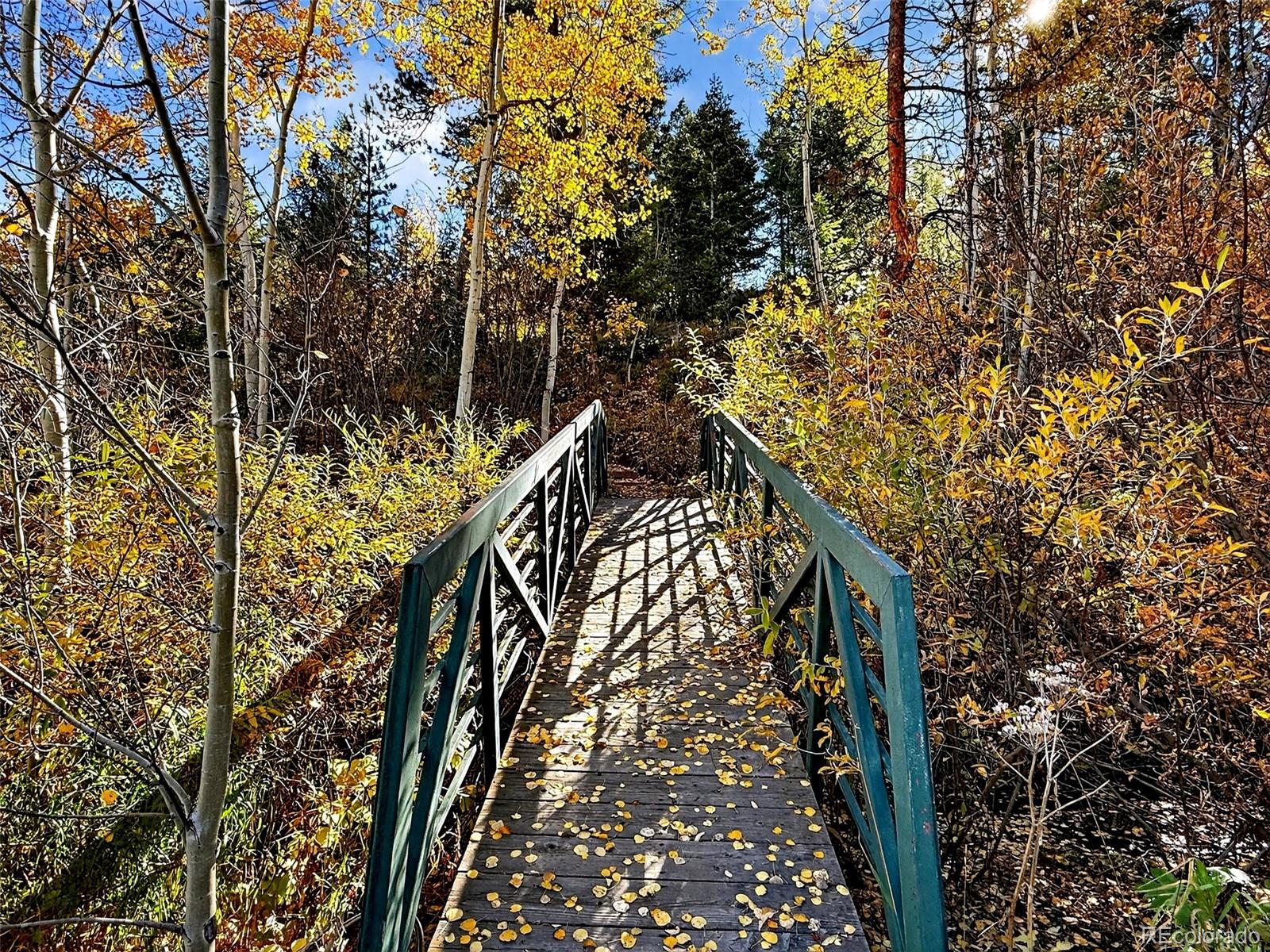 20341 Maxwell Drive Morrison, CO 80465 - Photo 47 of 47