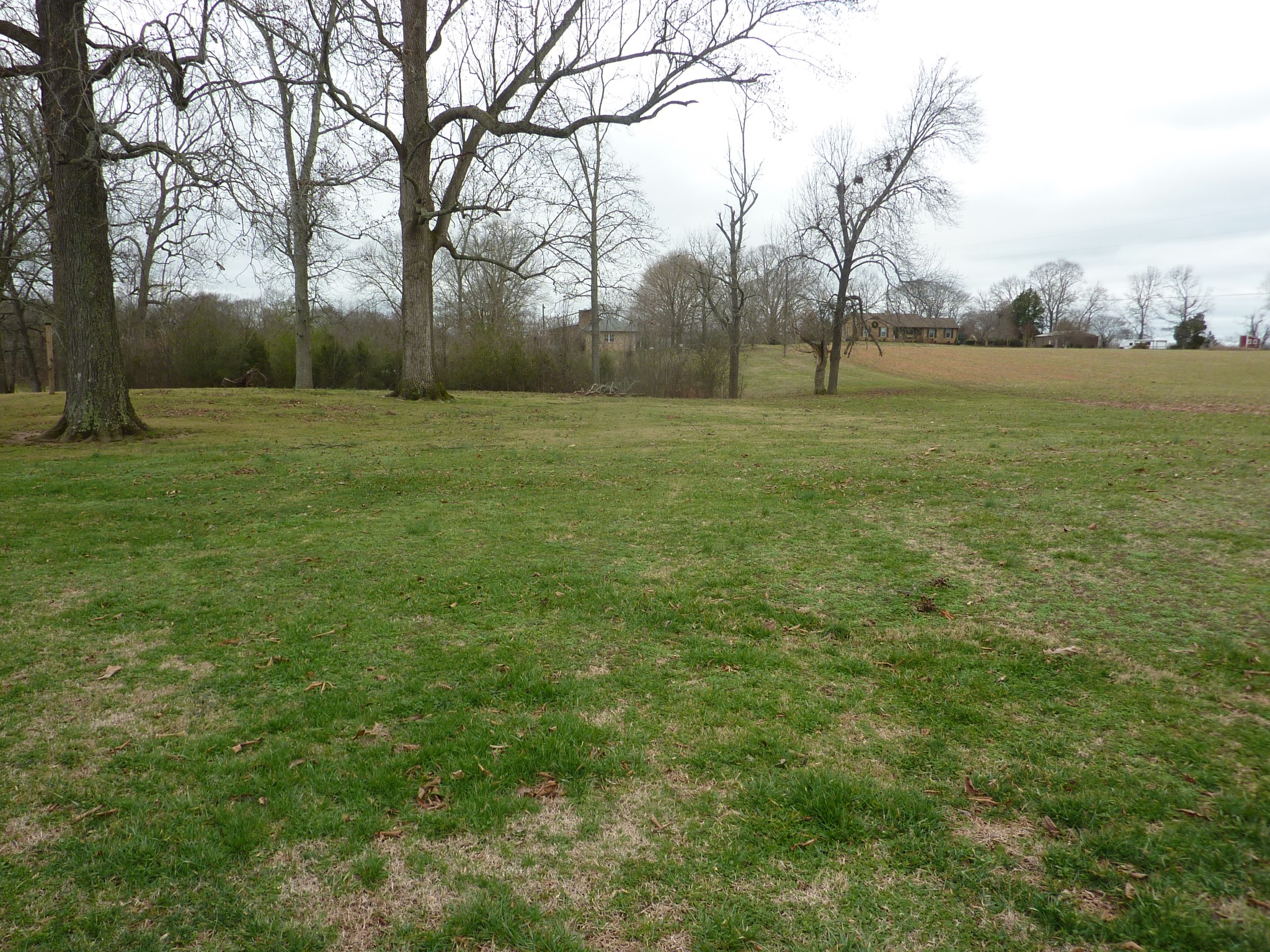 7390 Cairo Bend Road Lebanon, TN 37087 - Photo 3 of 25 Gallery Image 3