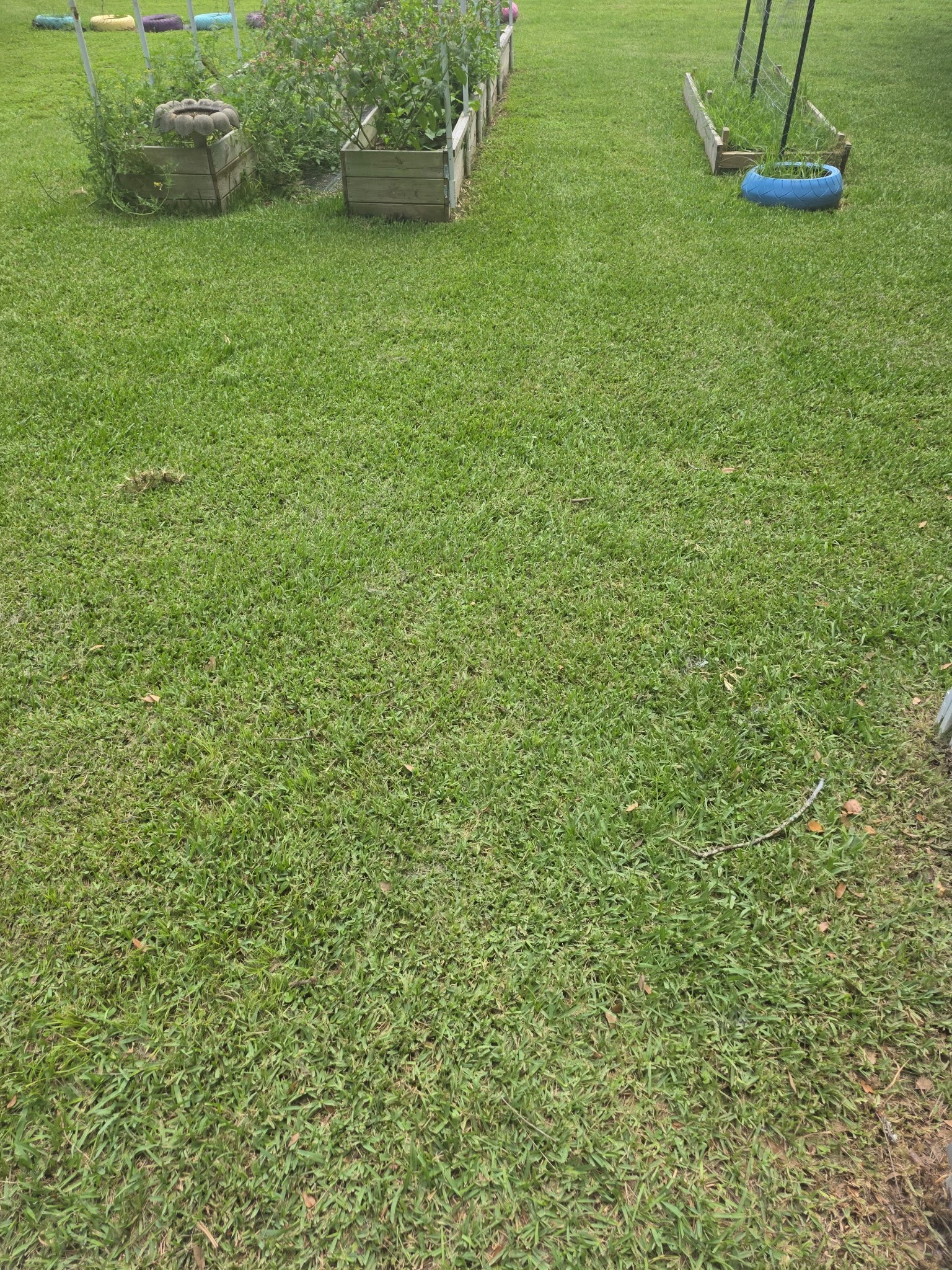 11 Pine Road Coldspring, TX 77331 - Photo 28 of 32 a view of a field with an outdoor space