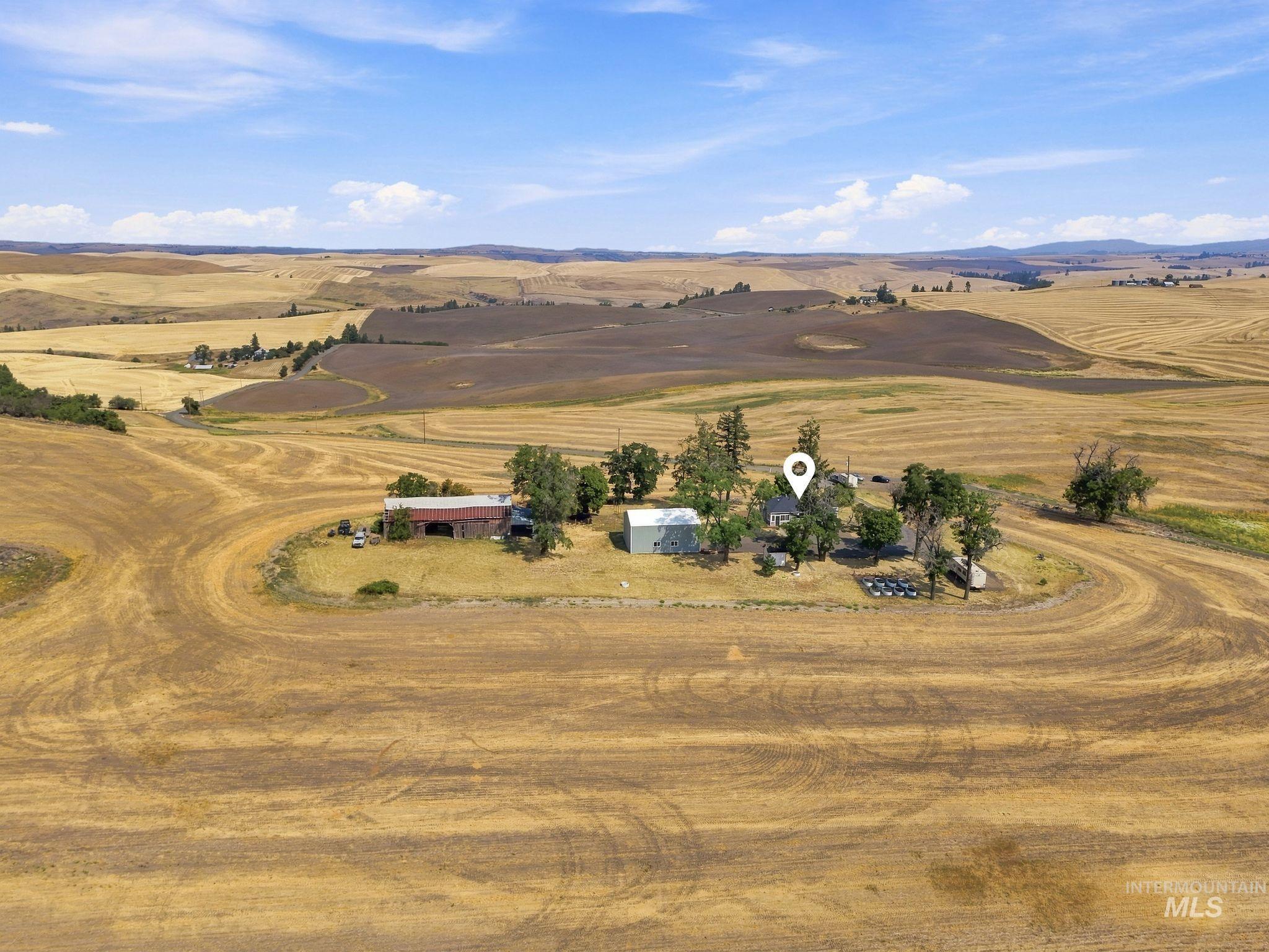 16078 Hoffman Road Kendrick, ID 83537 - Photo 42 of 47 Property surrounded by expansive cultivated fields under a clear sky