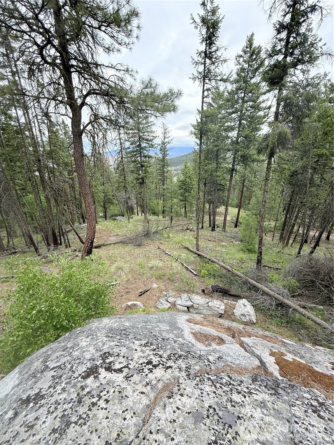 0 Broken Spoke Road Tonasket, WA 98855 - Photo 16 of 39 a view of a park
