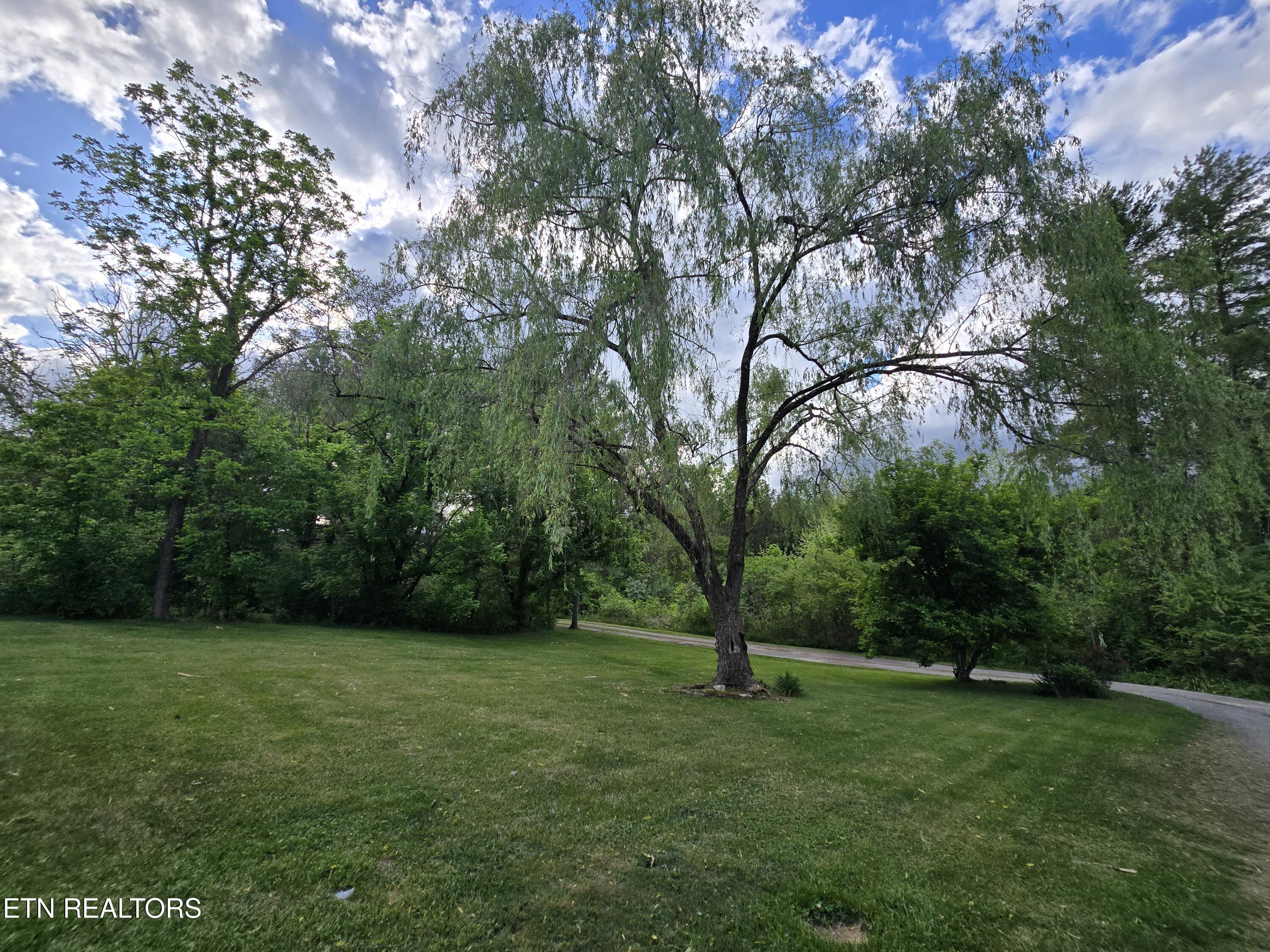 224 Parkey Road Ewing, VA 24248 - Photo 22 of 25 20260429_182450
