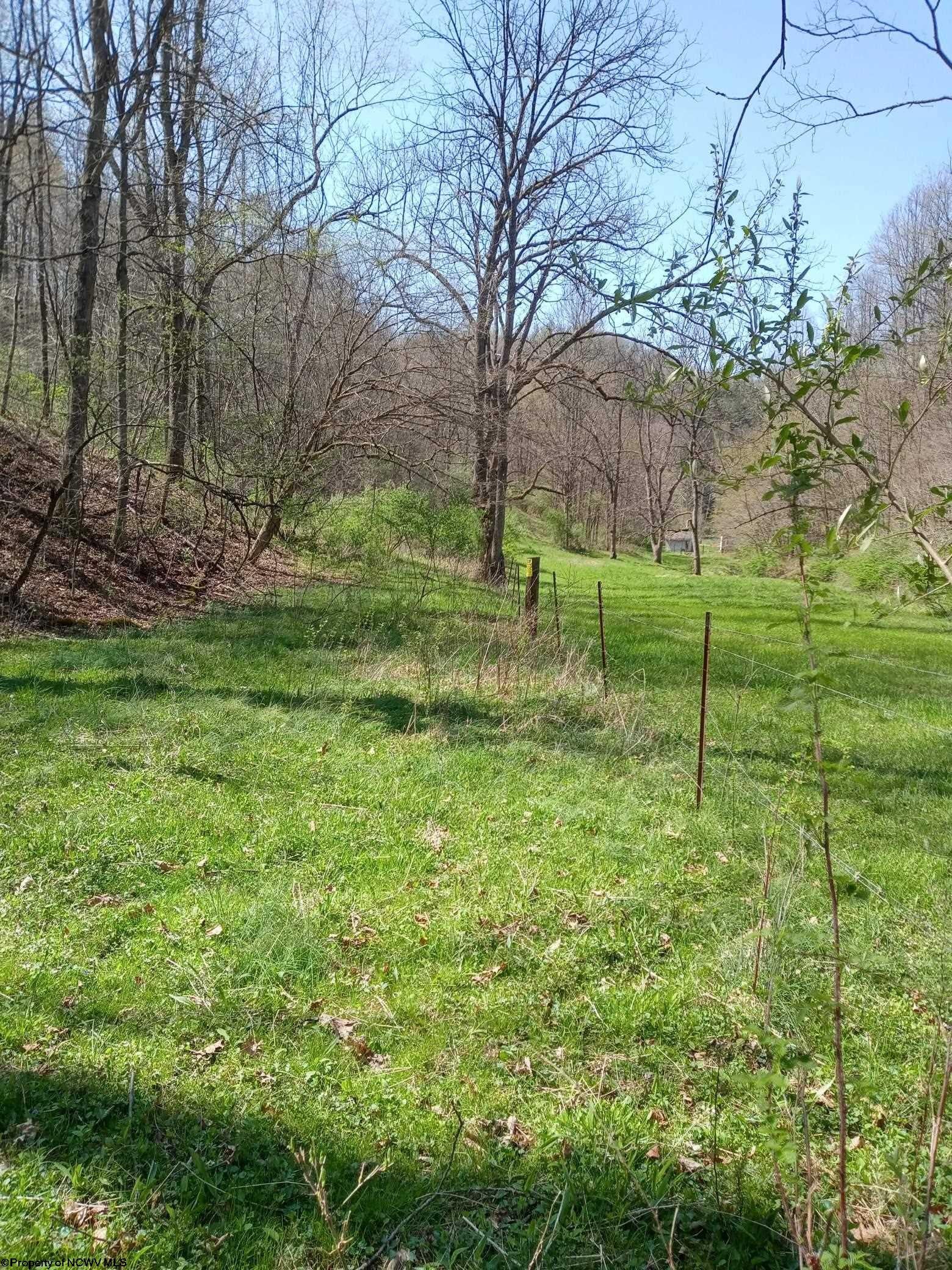 Tbd Buffalo Brink Road Mannington, WV 26582 - Photo 1 of 6 Gallery Image 1