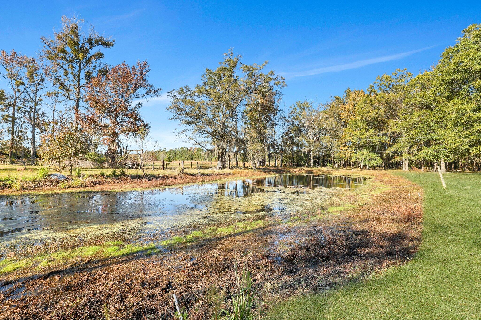 114 Van L Road Kingstree, SC 29556 - Photo 111 of 201 136-web-or-mls-184A9722_1