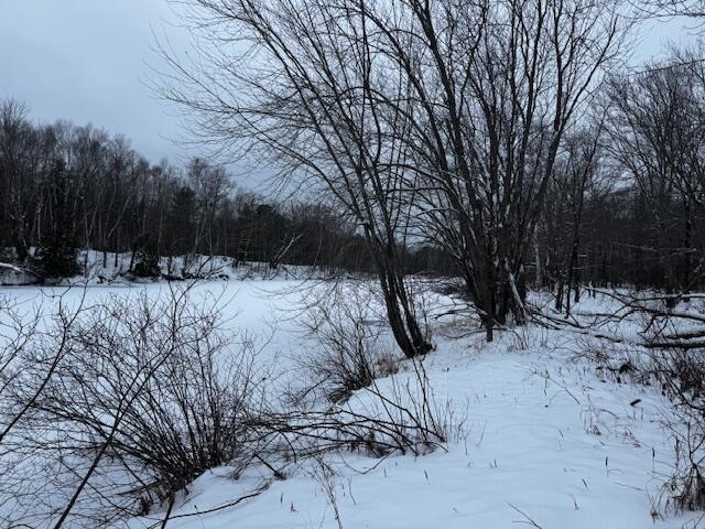 M6-l75-7 Raymond Road Palmyra, ME 04965 - Photo 6 of 17 IMG_1819