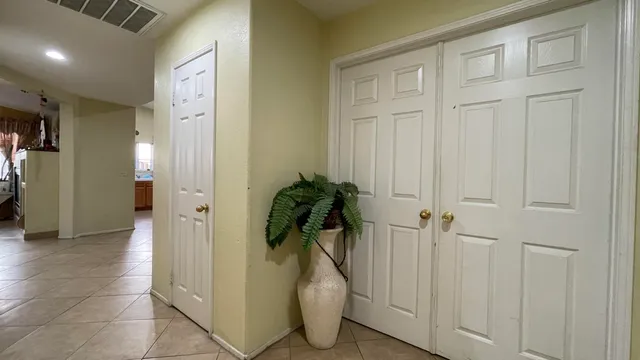 a view of a hallway with closet and a potted plant