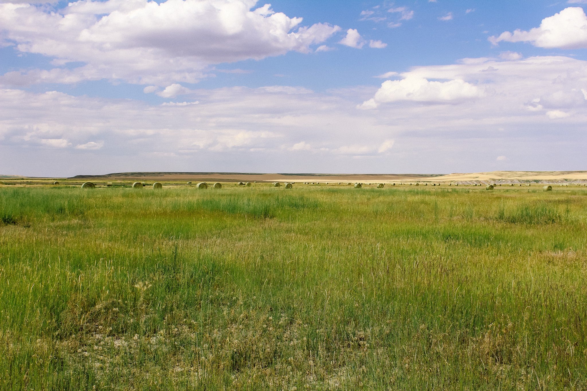 Little Little Muddy Creek Ranch Cascade, MT 59421 - Photo 19 of 41 Gallery Image 19