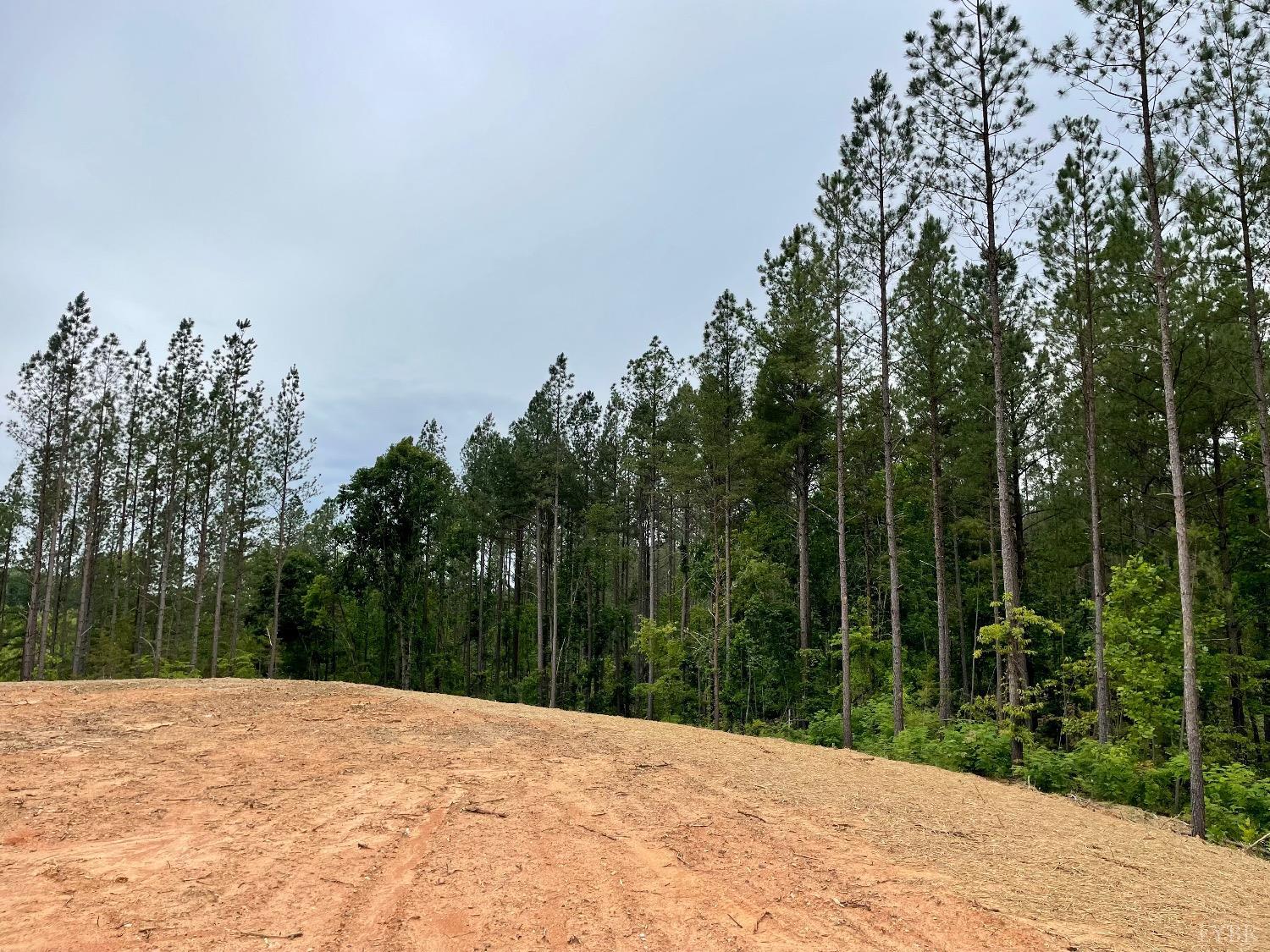 544 Langdon Road Evington, VA 24550 - Photo 11 of 13