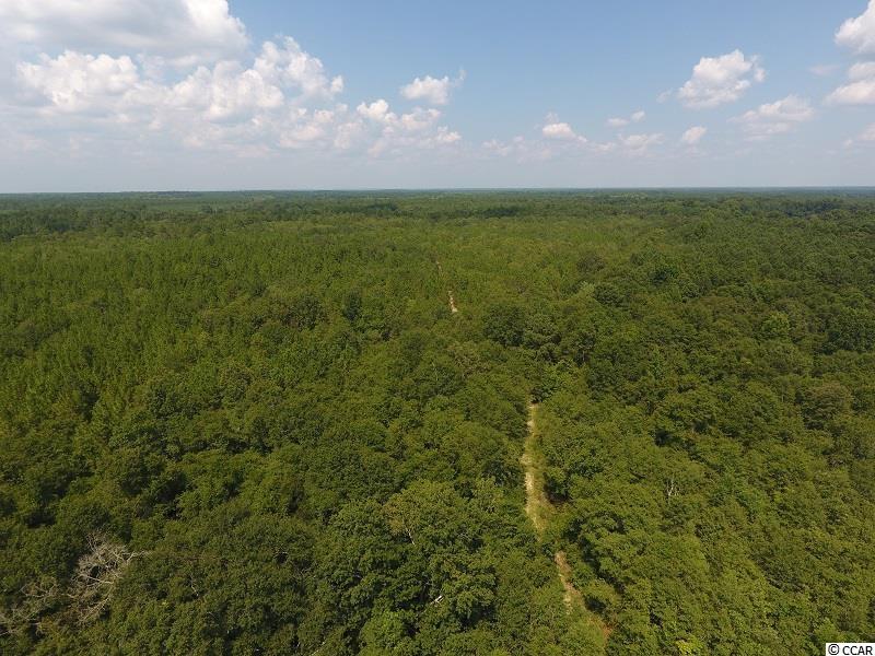 0 North Turnpike Road Wagram, NC 28396 - Photo 1 of 16