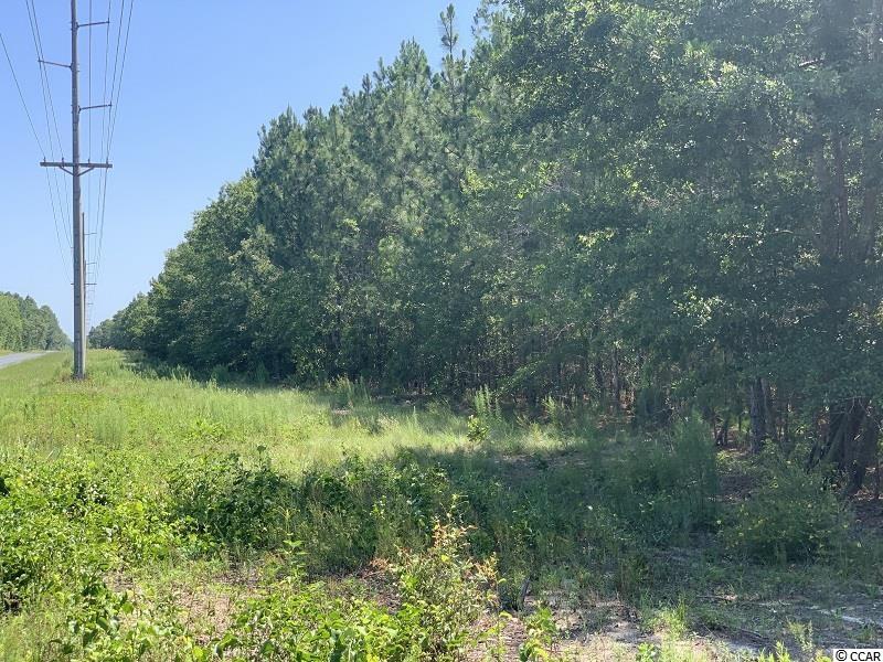 0 North Turnpike Road Wagram, NC 28396 - Photo 14 of 16