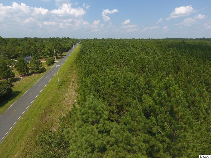 0 North Turnpike Road Wagram, NC 28396 - Photo 3 of 16