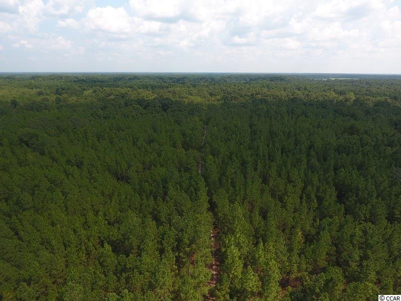 0 North Turnpike Road Wagram, NC 28396 - Photo 4 of 16