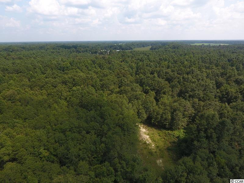 0 North Turnpike Road Wagram, NC 28396 - Photo 5 of 16