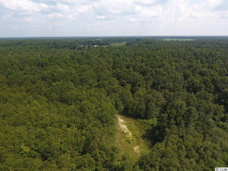 0 North Turnpike Road Wagram, NC 28396 - Photo 7 of 16
