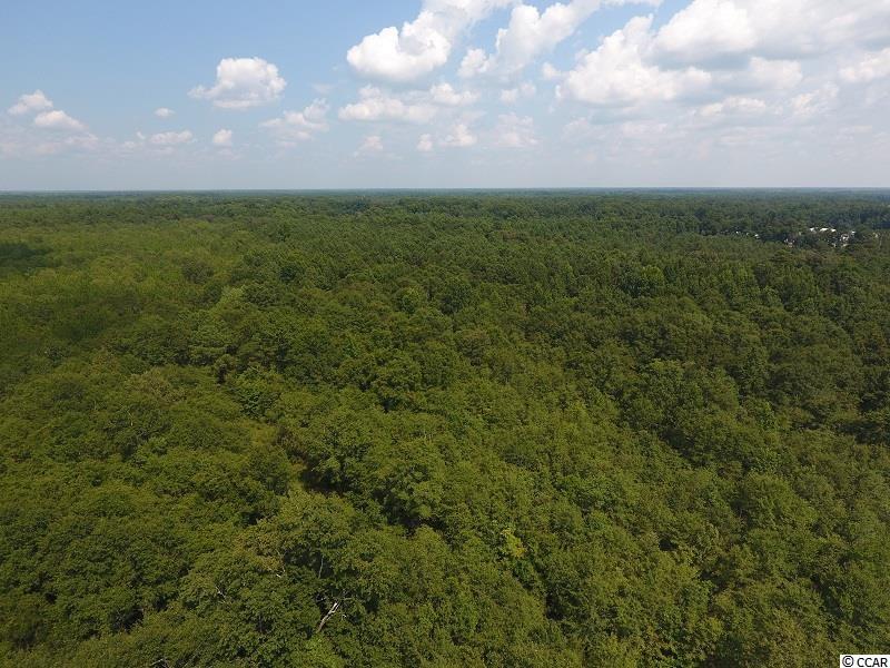 0 North Turnpike Road Wagram, NC 28396 - Photo 8 of 16