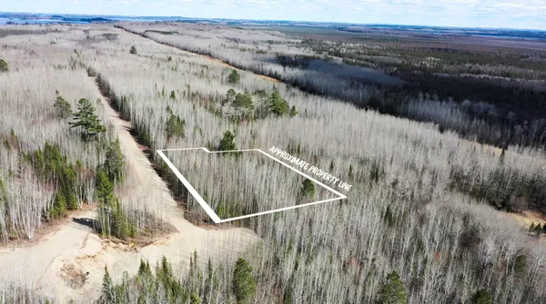 $38,900 | Tbd Parcel Y Tbd Parcel Y Frazer Bay Road, Tower, MN 55790