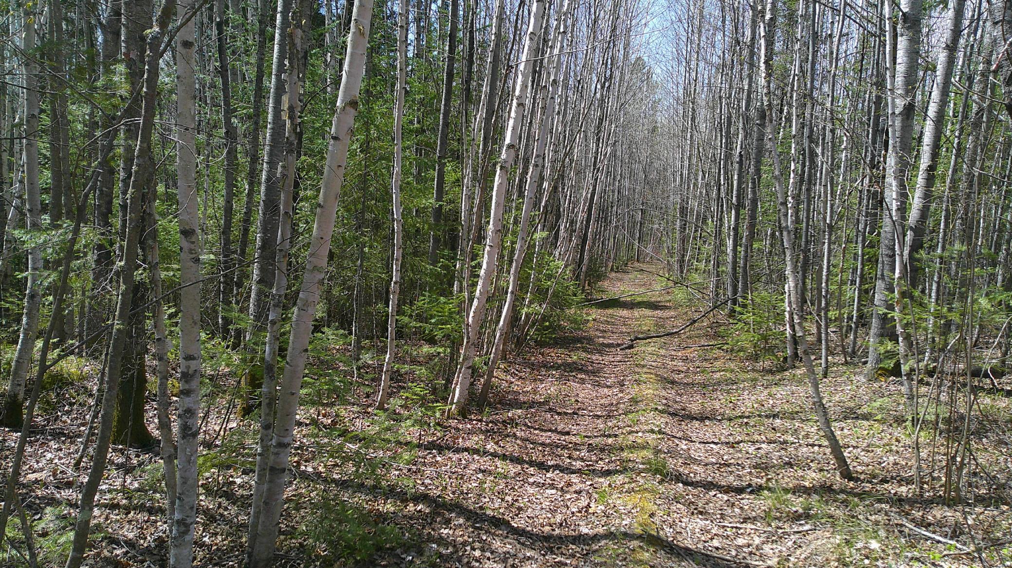 Tbd Parcel Y Tbd Parcel Y Frazer Bay Road Tower, MN 55790 - Photo 2 of 14