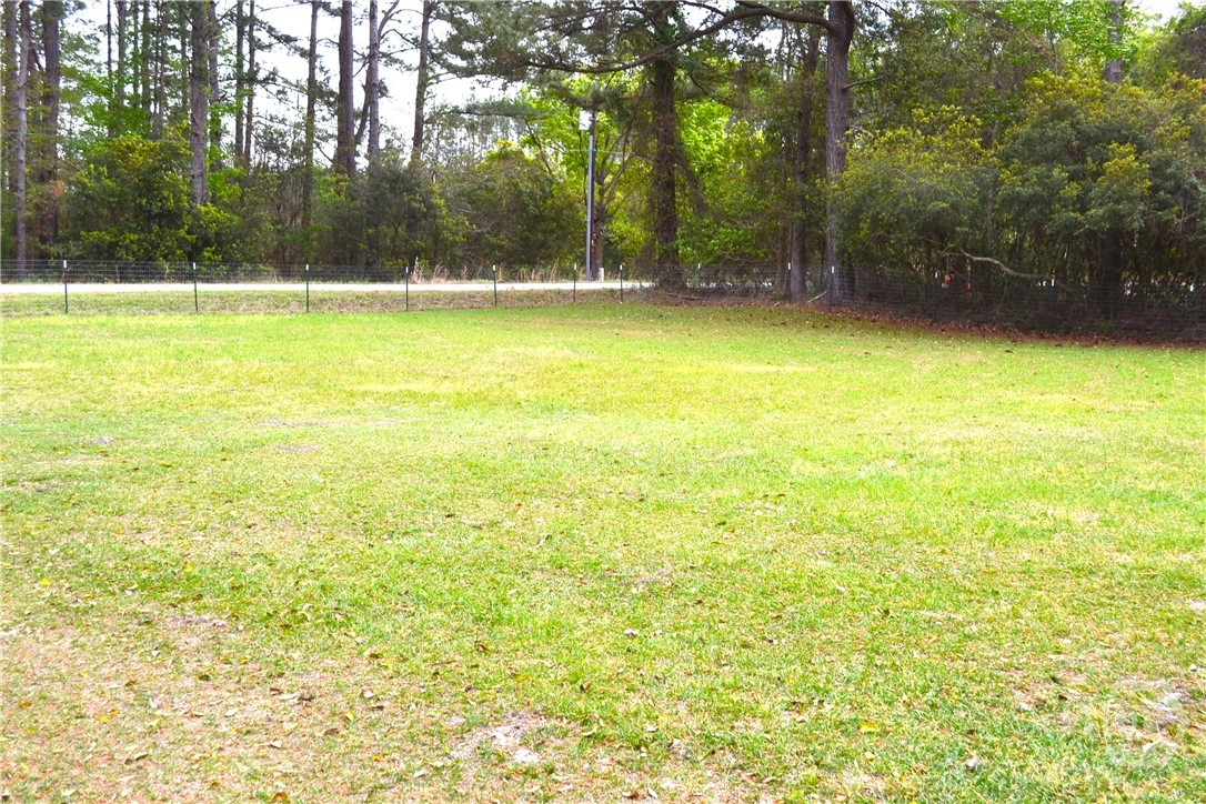 343 Whitaker Road Clyo, GA 31303 - Photo 6 of 16 Front Yard