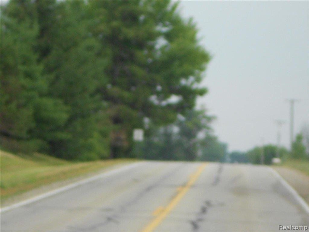 5549 Mertz Road Mayville, MI 48744 - Photo 4 of 6 7091031422 Street view.jpg
