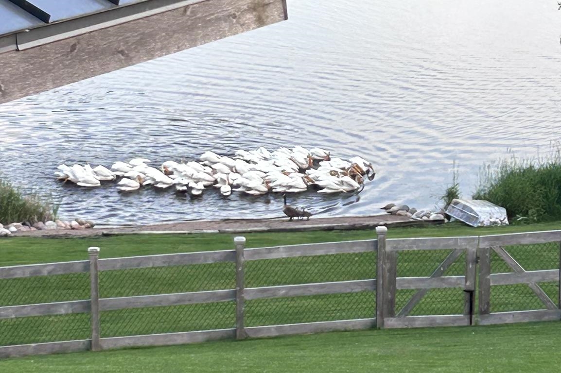 E9588 Mulroy Road New London, WI 54961 - Photo 49 of 53