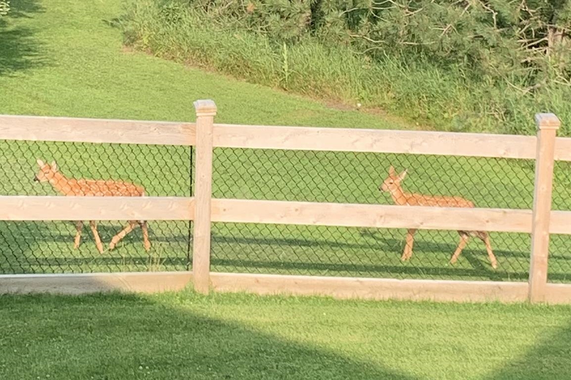 E9588 Mulroy Road New London, WI 54961 - Photo 50 of 53