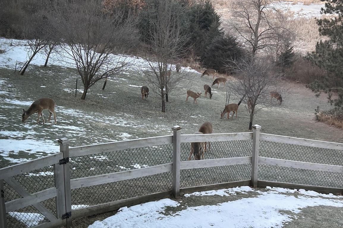 E9588 Mulroy Road New London, WI 54961 - Photo 51 of 53