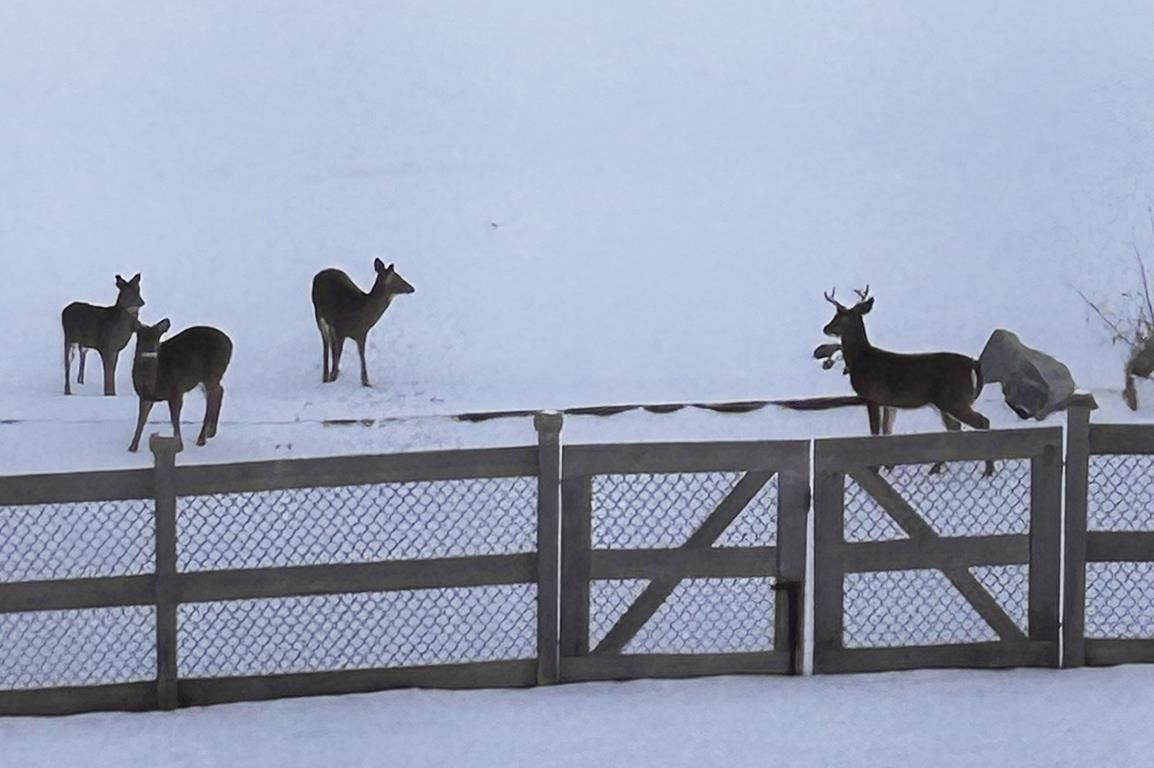 E9588 Mulroy Road New London, WI 54961 - Photo 52 of 53