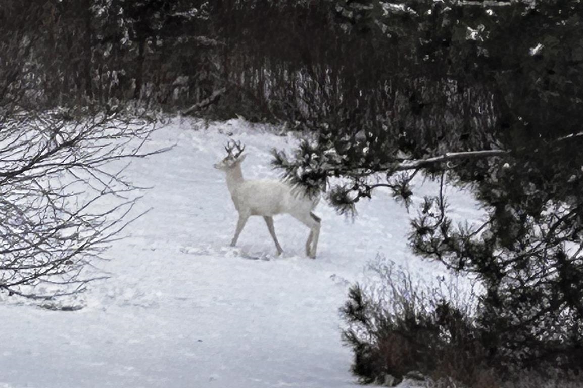 E9588 Mulroy Road New London, WI 54961 - Photo 53 of 53