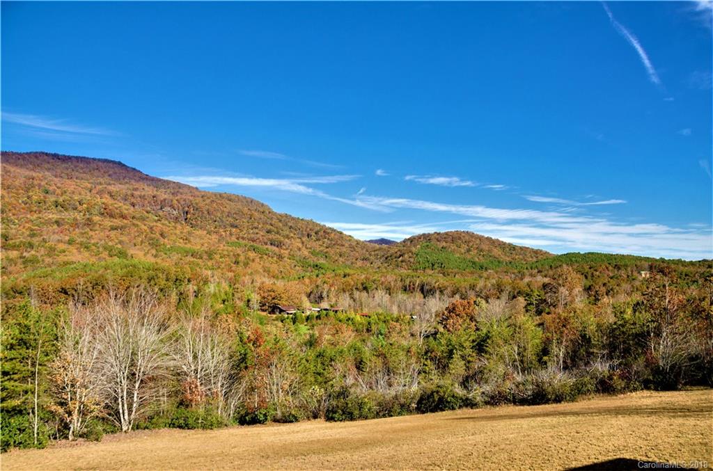 72 Wildcat View Lane Mill Spring, NC 28756 - Photo 6 of 22