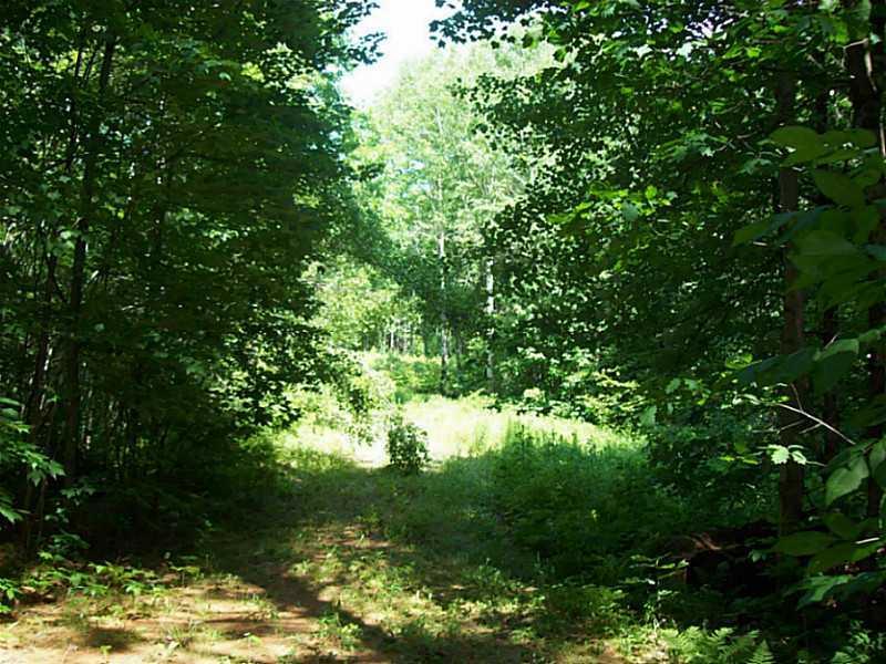 0 Main Road Chesterville, ME 04938 - Photo 4 of 19 Land/Lot.
