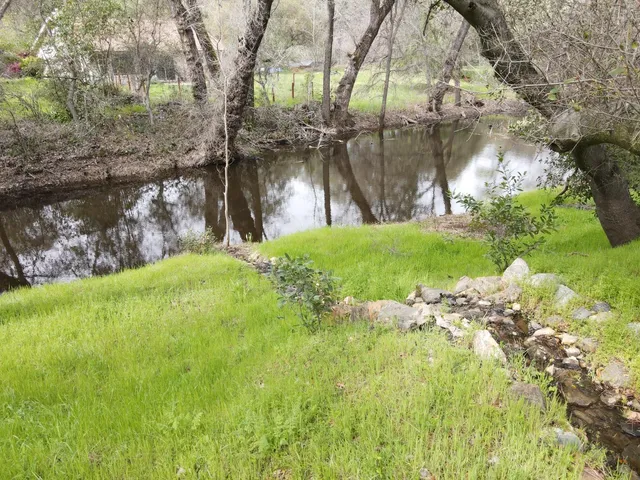 a view of a backyard with large trees