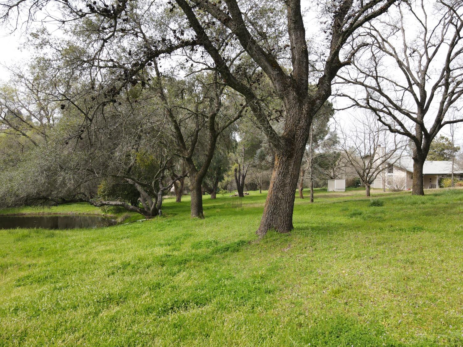 6705 Ravine Court Newcastle, CA 95658 - Photo 12 of 15 a view of a backyard with large trees