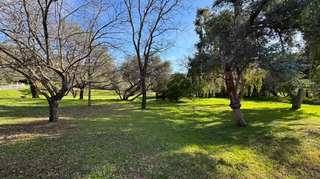 a view of yard with trees