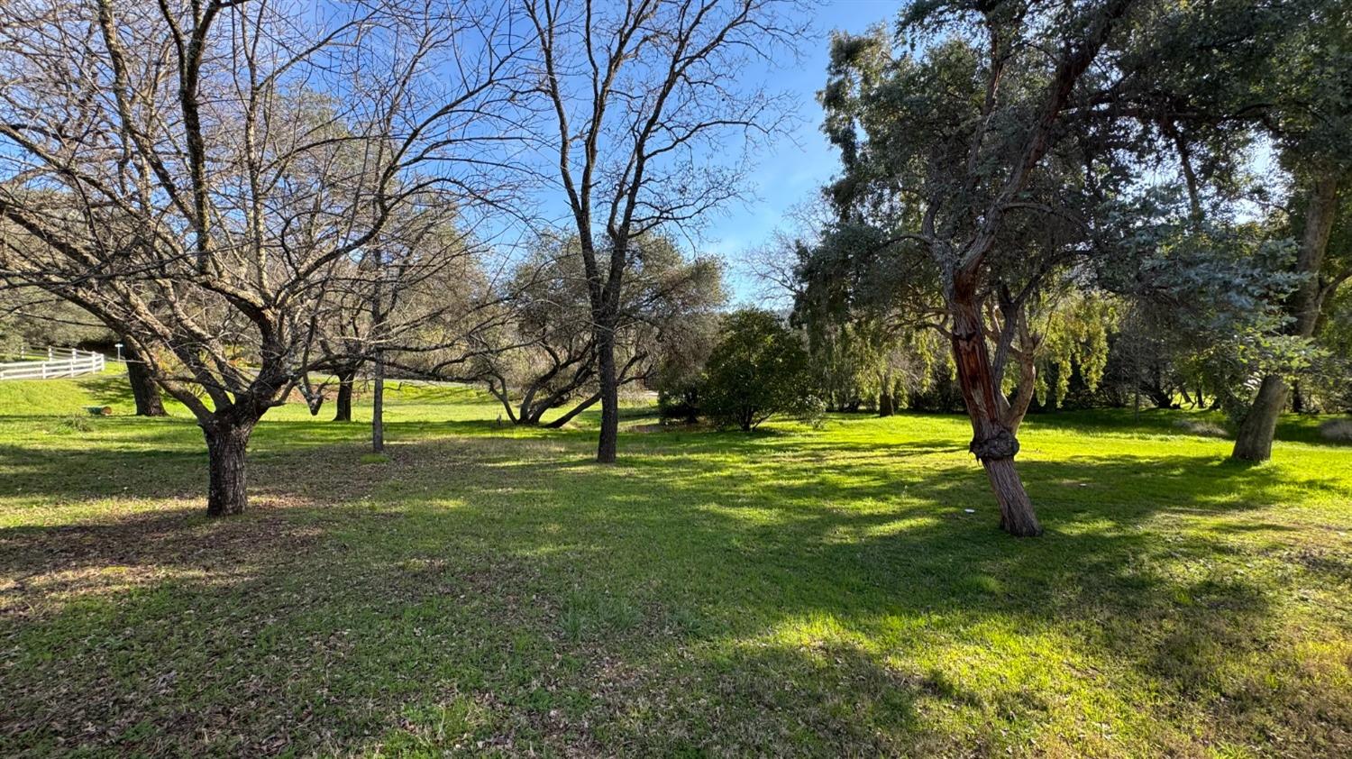 6705 Ravine Court Newcastle, CA 95658 - Photo 3 of 15 a view of yard with trees