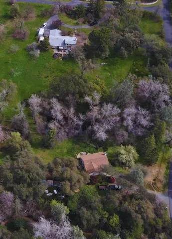 a front view of house with a garden