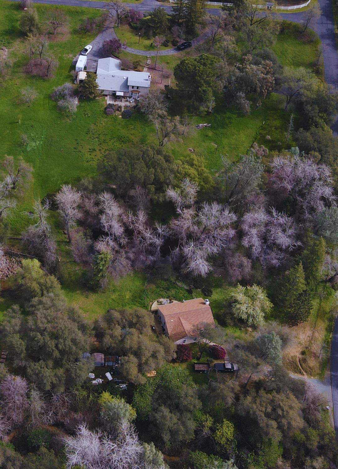 6705 Ravine Court Newcastle, CA 95658 - Photo 5 of 15 a garden view with a pond