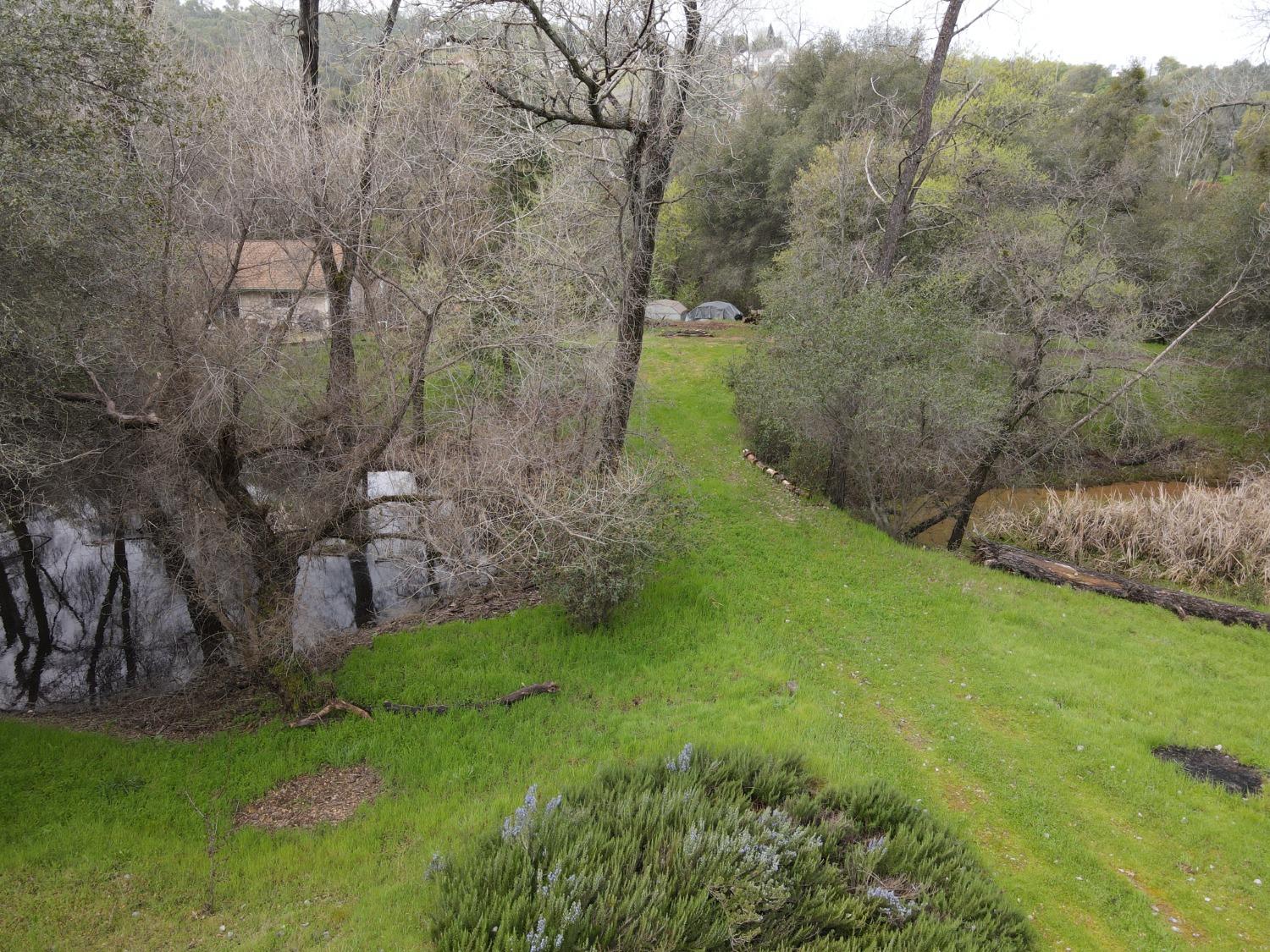 6705 Ravine Court Newcastle, CA 95658 - Photo 10 of 15 a view of a yard with large trees