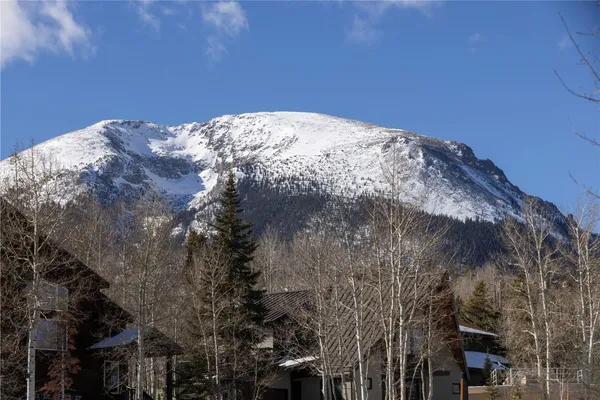 $1,475,000 | 511 Ryan Gulch Road, Wildernest, CO 80498