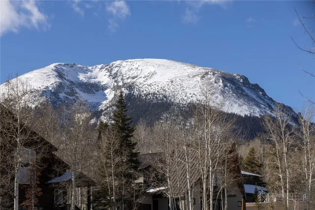 $1,575,000 | 511 Ryan Gulch Road, Wildernest, CO 80498
